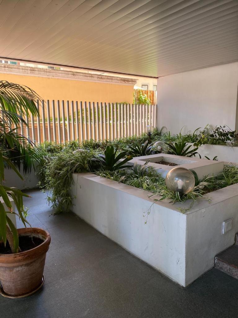 Giulio Cesare Holiday House 罗马 外观 照片